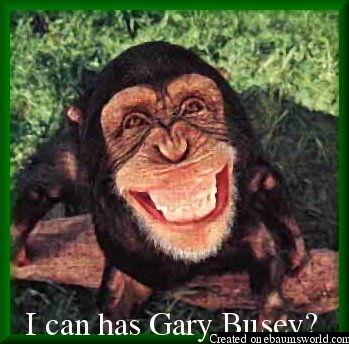 I can has Gary Busey?
