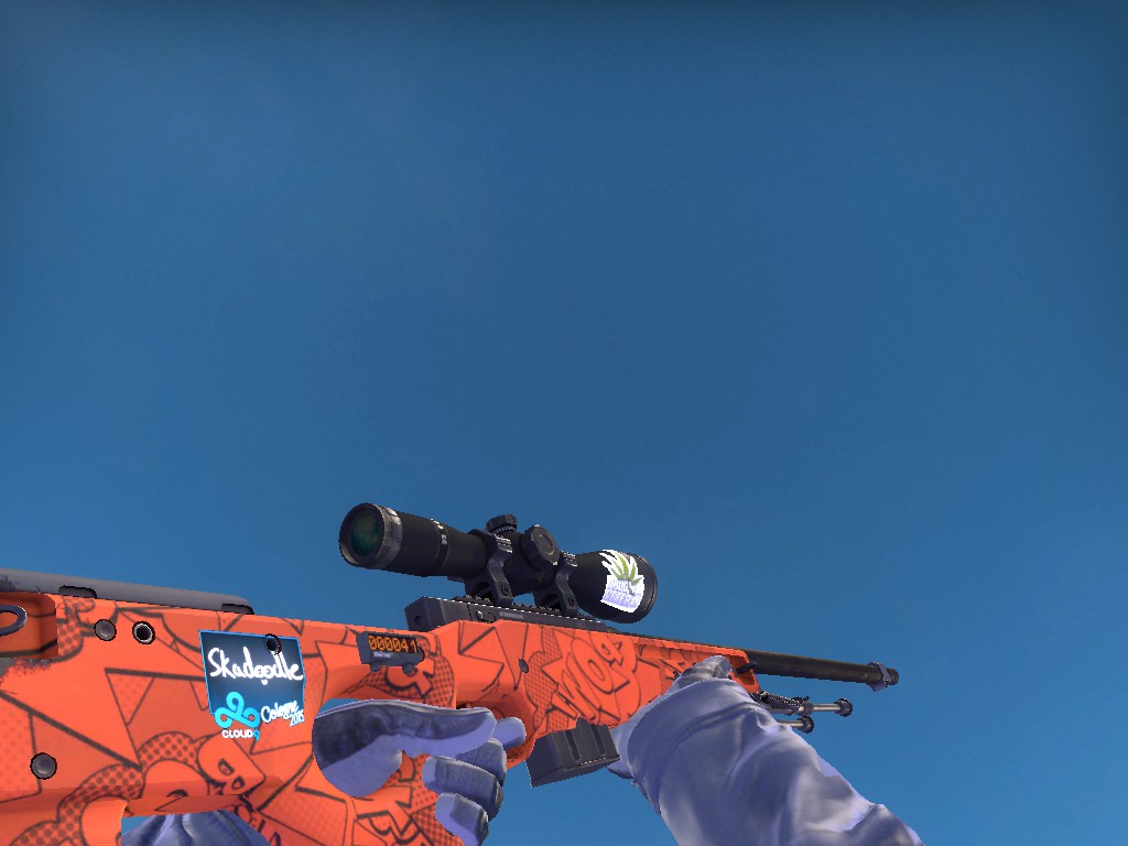 My everyday awp. Wish it was a dragonlore, doh. :(