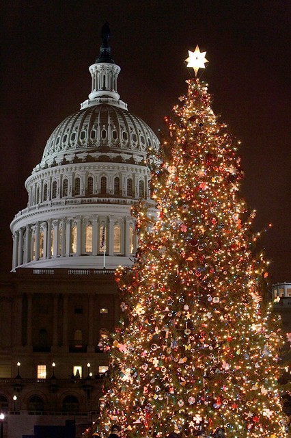 Washington , D.C. , is decorated with 3,000 ornaments that are the handiwork of U.S. school children.