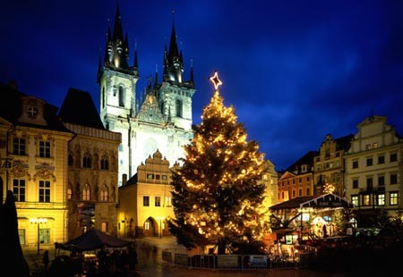 Illuminating the Gothic facades of Prague's Old Town Square, and casting its glow over the manger display of the famous Christmas market, is a grand tree cut in the Sumava mountains in the southern Czech Republic.