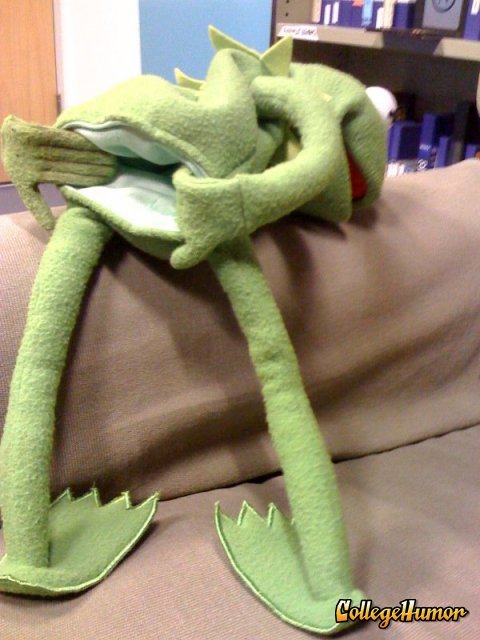 kermit the frog likes taking it from behind