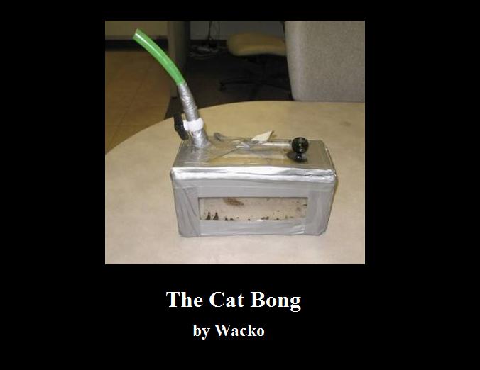 The Cat Bong by Wacko