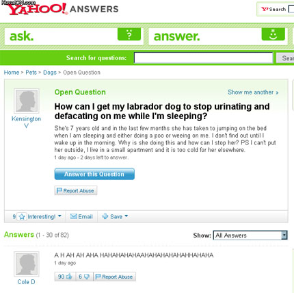 Hilarious Yahoo Q and A