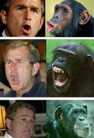 Bush=Monkey
