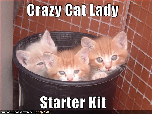 Crazy Cat Lady Starting Kit