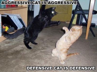 Aggressive vs. Defensive