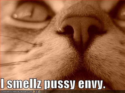 Pussy Envy