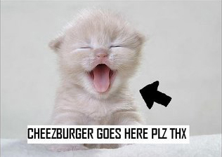 kitten meme - finally weekend quotes - Cheezburger Goes Here Plz Thx