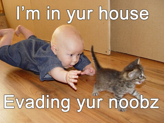 kitten meme - amazing pictures of animals - I'm in yur house Evading yur noobz