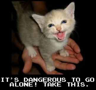 kitten meme - it's dangerous to go alone take this kitten - It'S Dangerous To Go Alone! Take This. Theoremfarys 19.0