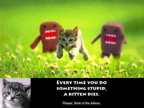 kitten meme - everytime you masturbate god kills a kitten - Every Time You Do Something Stupid A Kitten Dies. Please, think of the kittens.