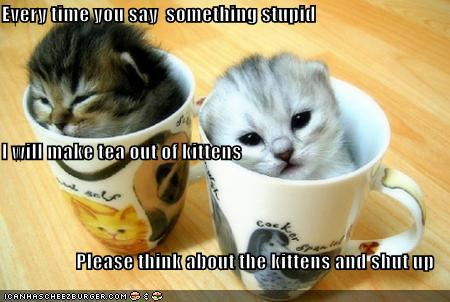 kitten meme - cute baby cats - Every time you say something stupid I will make tea out of kitlens Please think about the kittens and shut up Doanhascheezdurger.Com