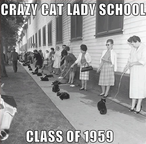 Crazy Cat Girls of the 1950s