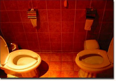 Real Strange Toilets