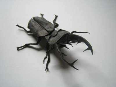 Insect Origami