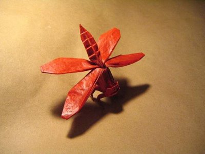 Insect Origami