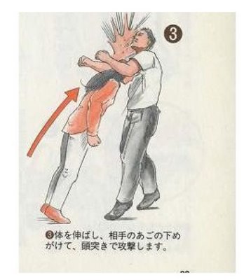 Japanese Self-Defense