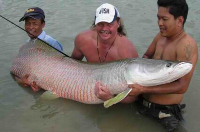 Thailand fishing