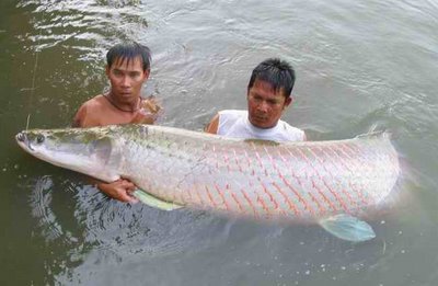 Thailand fishing