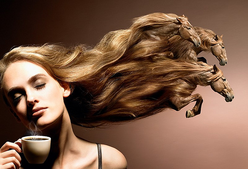horse hair photoshop