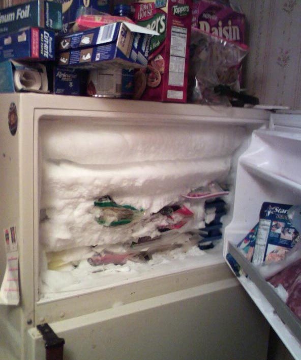We'll just buy a new fridge.