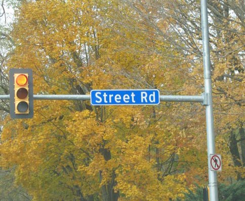 tree - Doo Street Rd