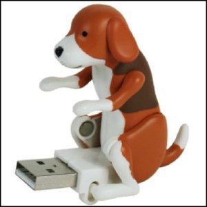 doggy style flash drive