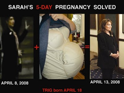 Palin and her fake pregnancy