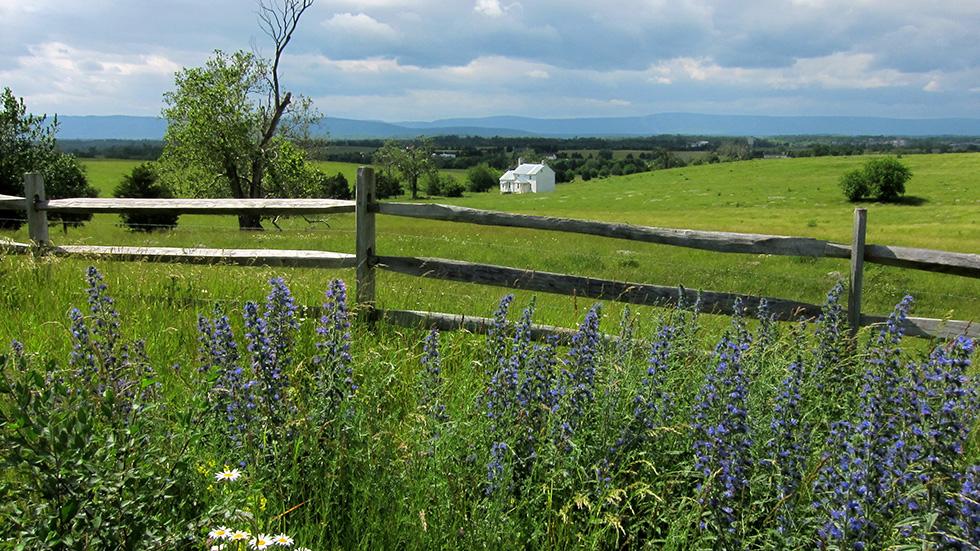 Wanna see the English countryside? Just go to Shenandoah Valley, VA.
