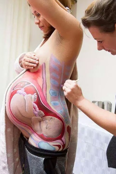 pregnant women cross section