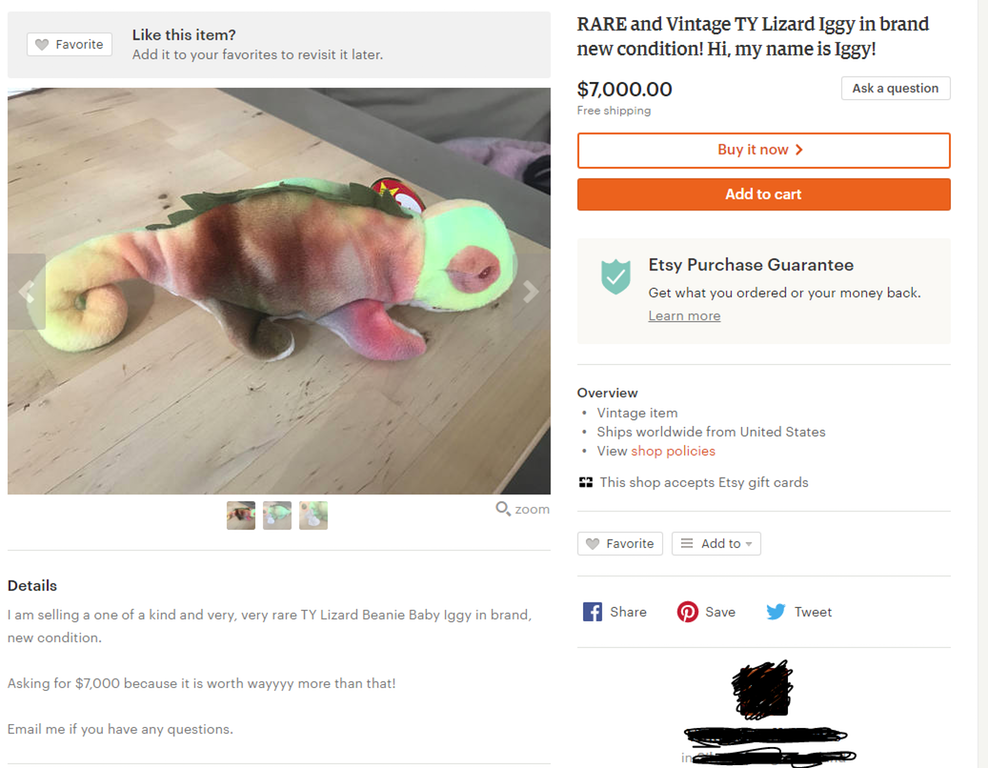 Yea we all know how valuable Beanie Babies are. This one is on "buy it now" on eBay for $6.99.