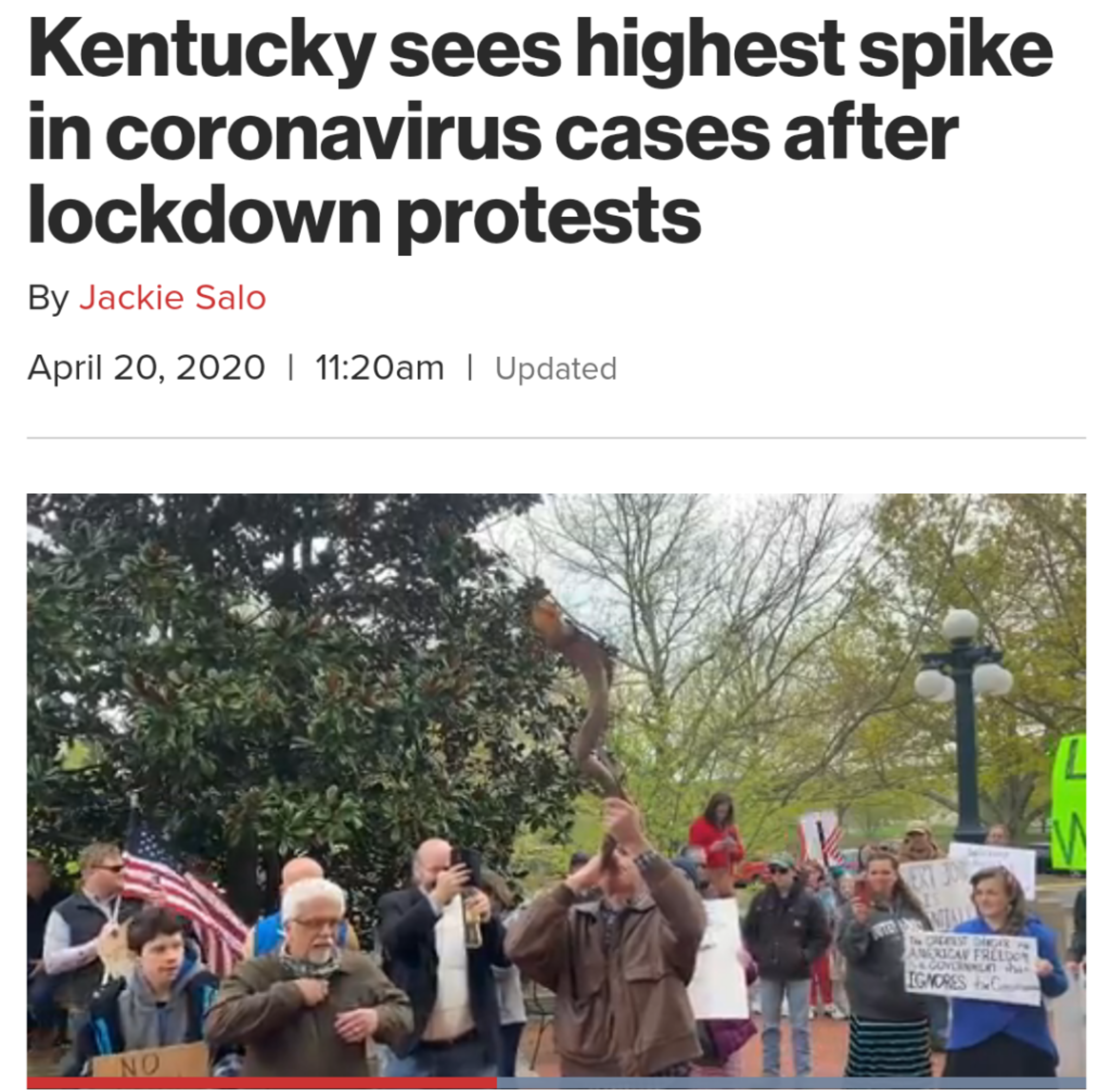 tree - Kentucky sees highest spike in coronavirus cases after lockdown protests By Jackie Salo am | Updated No