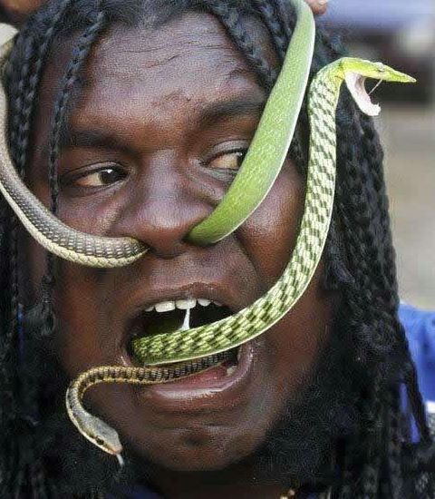 Crazy Snake Man