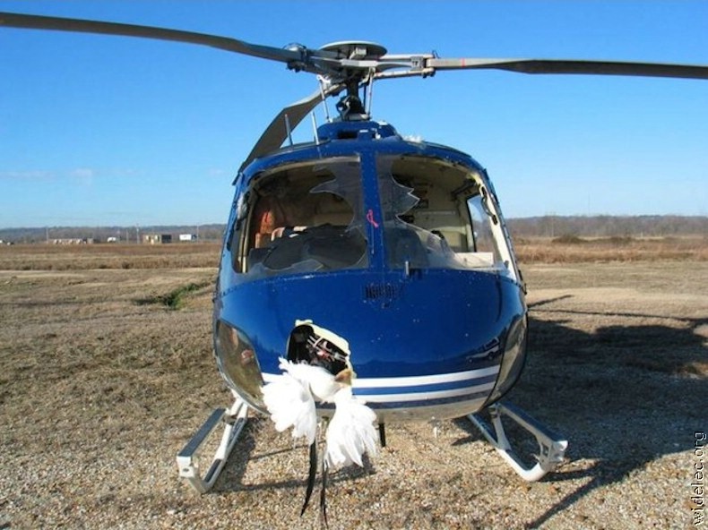 birds, helicopter..helicopter, birds