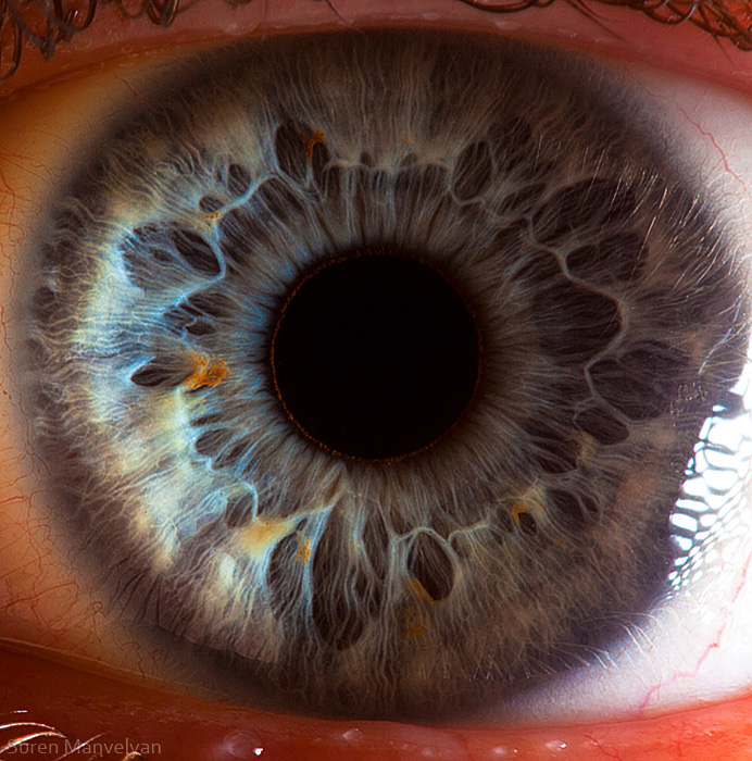 Macro of The Human Eye