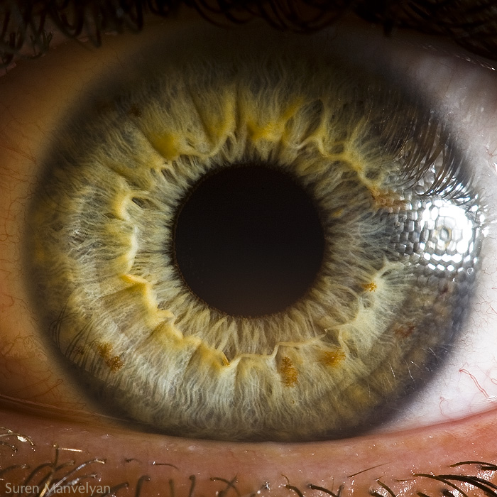 Macro of The Human Eye