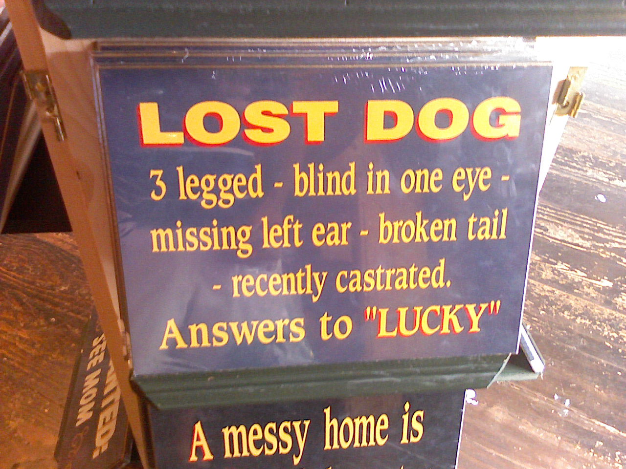 unlucky dog