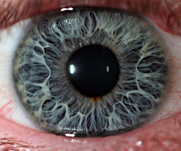 Amazing Eye Macros