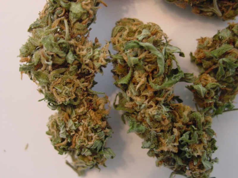 High Grade Marijuana