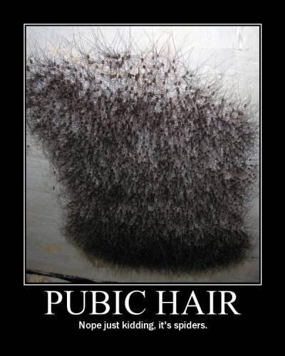 Pubic Hair