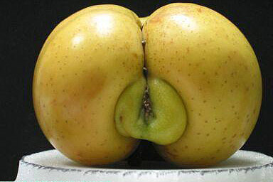 This fruit is on sale at an adult store near you.