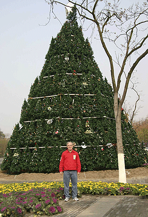 Unique Christmas Trees