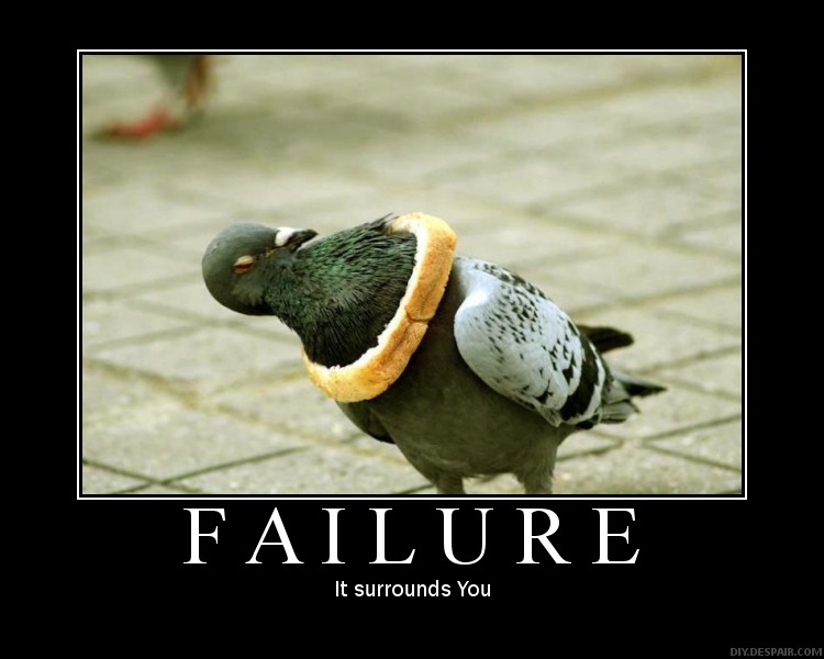 Failure bird