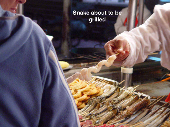 Chinese cuisine - Snake about to be grilled
