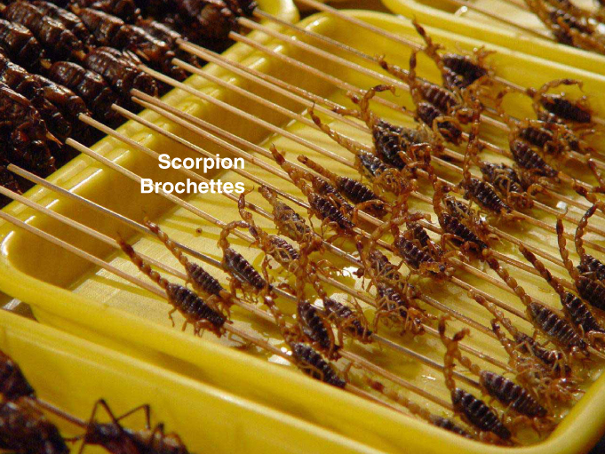 scorpion brochettes