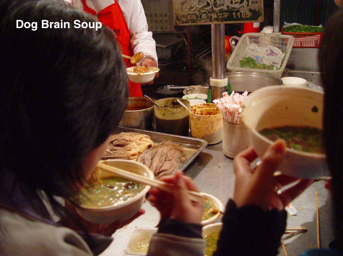 dog brain soup - Serie 1185 Dog Brain Soup