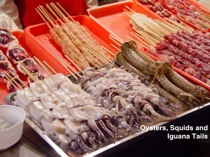 beijing food - Oysters, Squids and Iguana Tails