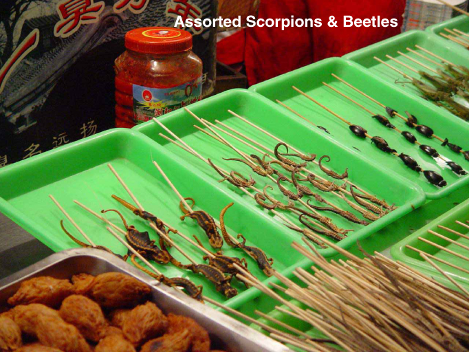 snack - Assorted Scorpions & Beetles