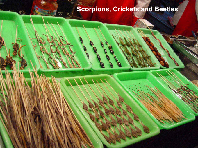 food at beijing olympics - Scorpions, Crickets and Beetles