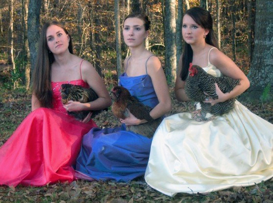 FINALLY! A photo of girls in prom dresses holding poultry that makes total sense.